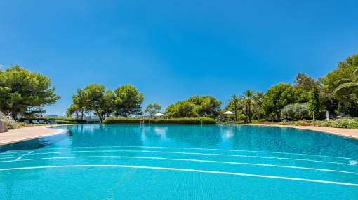 Magnificent apartment in the Mardavall complex Magnificent apartment in the Mardavall complex